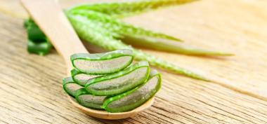 Obat Herbal Pekarangan Rumah