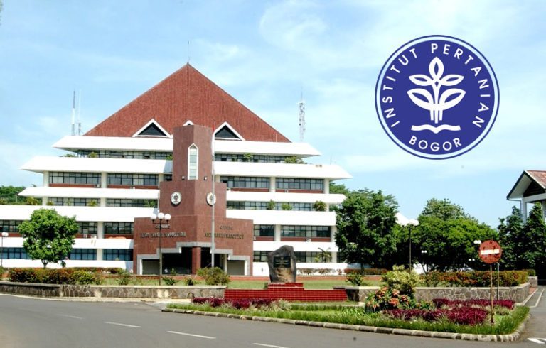 Persiapan Ujian Mandiri IPB: Strategi Belajar Otodidak yang Terbukti Ampuh