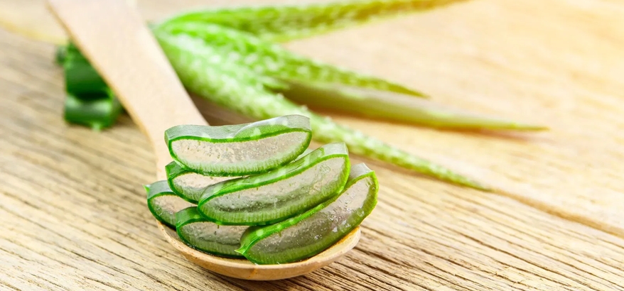 Tanaman Obat yang Tumbuh di Pekarangan, Khasiatnya Tidak Kalah dari Obat Kimia!